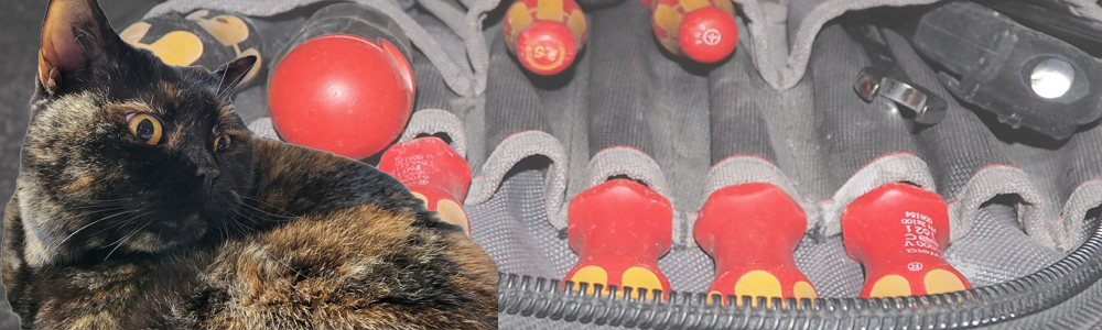 Katze Fräulein Bismarck vor Elektroinstallationswerkzeug – Motivationscoach der Kohls-Energie in Goslar